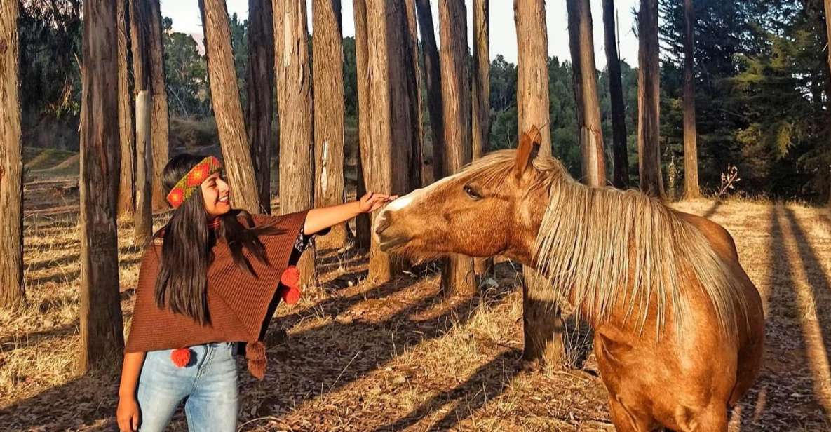 Horse Ride Through Sacsayhuaman, Qenqo and Eucalyptus Forest - Key Points