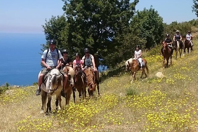 Horse Riding in Fethiye - Key Points