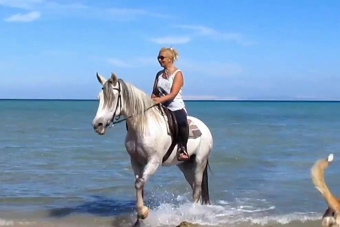 Horse Riding Tour Two Hours Sun & Sea With Transfer - Hurghada - Key Points