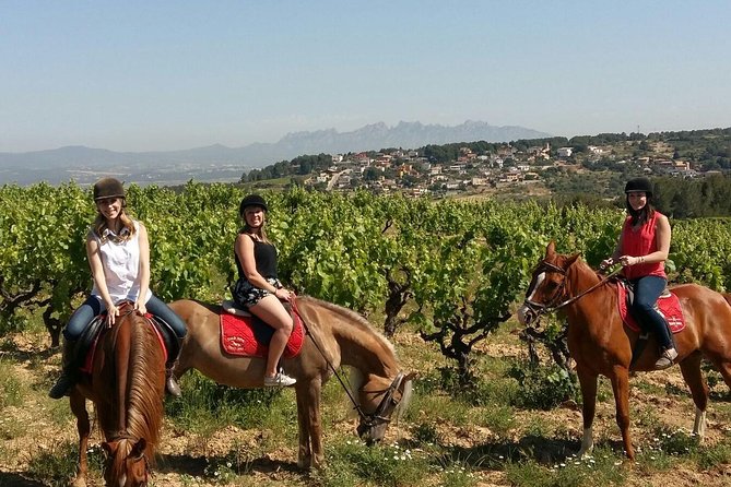 Horseback Ride, Penedés, Wine Tasting & Tapas Lunch - Key Points