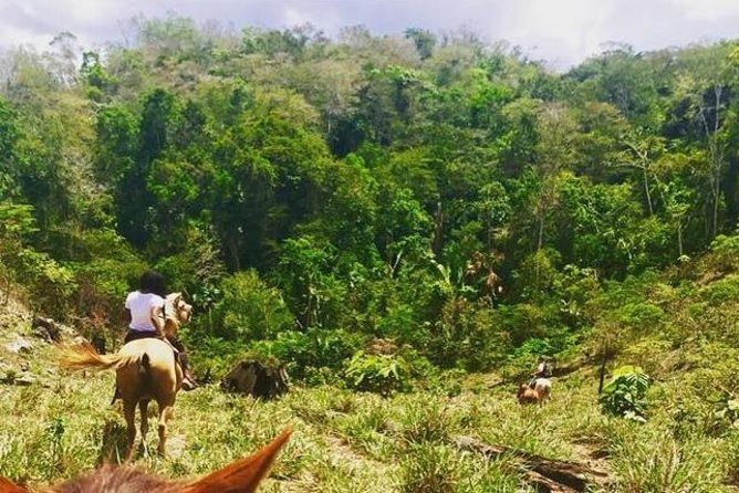 Horseback Ride to the Forgotten Jungle City - Key Points