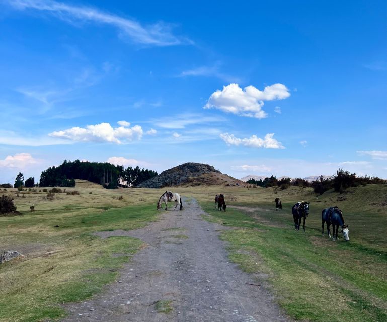 Horseback Riding Adventure in Cusco - Key Points