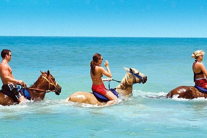 Horseback Riding Adventure Tour From Kusadasi and Selcuk - Key Points