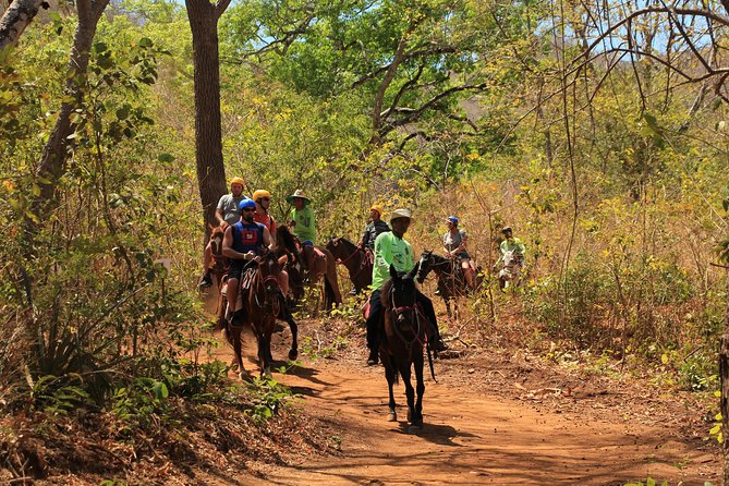 Horseback Riding at Diamante Eco Adventure Park - Booking Details