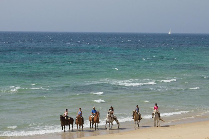 Horseback Riding by the Beach or Mountain in Tarifa, Spain - 1 to 2 Hrs - Booking Details