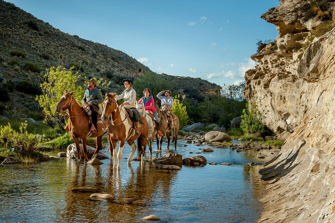 Horseback Riding Experience in the Estancia 25 De Mayo Nature Reserve - Key Points