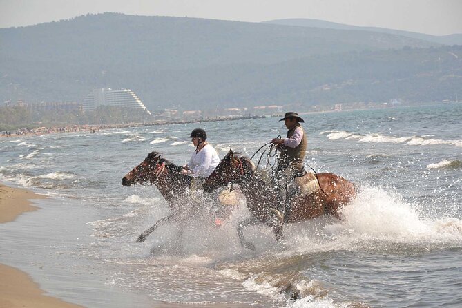 Horseback Riding From Kusadasi Port / Hotels - Key Points