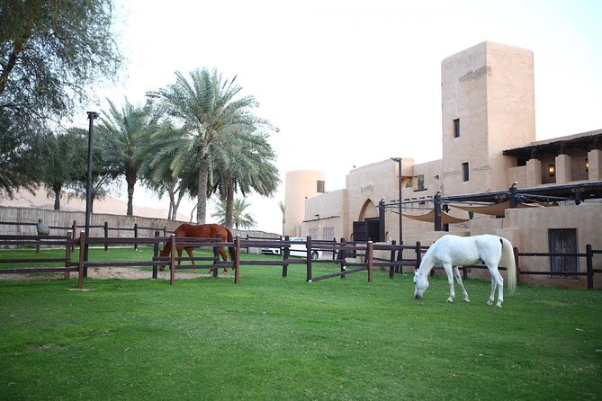 Horseback Riding in Dubai Desert - Key Points