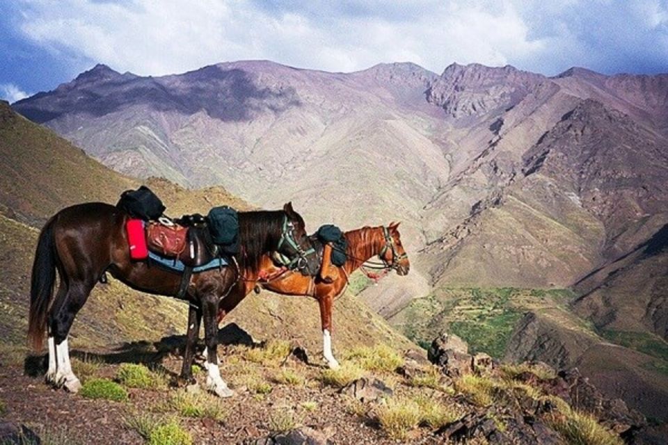 Horseback Riding in the High Atlas Mountains With Overnight - Key Points