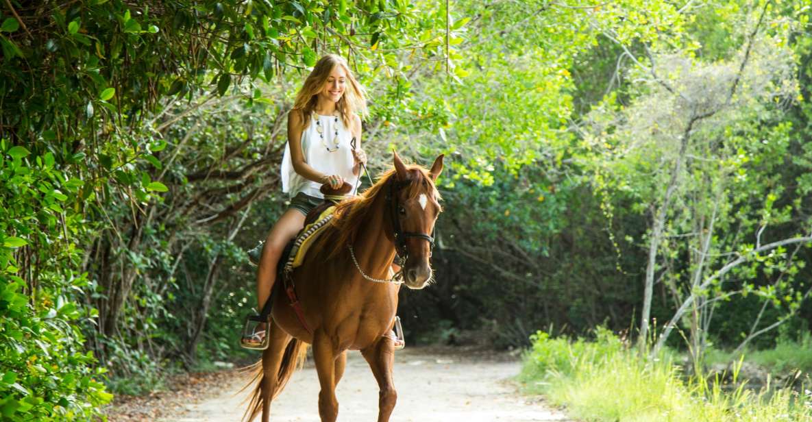 Horseback Riding in the Tropical Jungle - Key Points