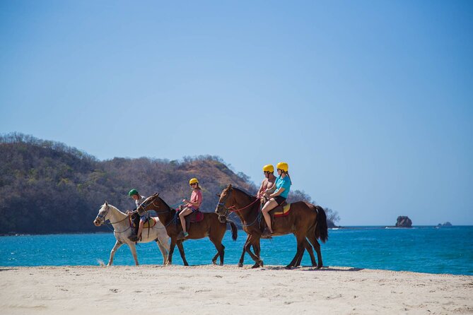 Horseback Riding on Jobo Beach Dreams Las Mareas Hotel - Key Points