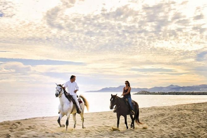 Horseback Riding on The Beach and Through The Desert! - Key Points