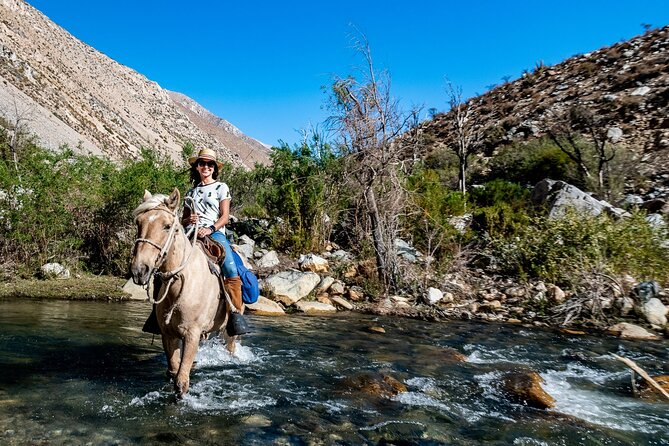 Horseback Riding River and Mountain Range - Key Points