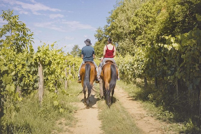 Horseback Riding Tour With Tuscan Picnic in Val Dorcia and Valdichiana - Key Points