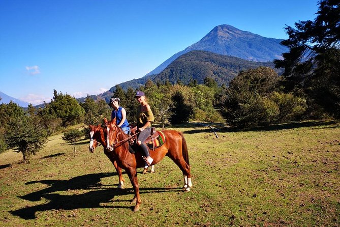 Horseback Trail Ride & Heritage Ranch Visit, Antigua - Key Points