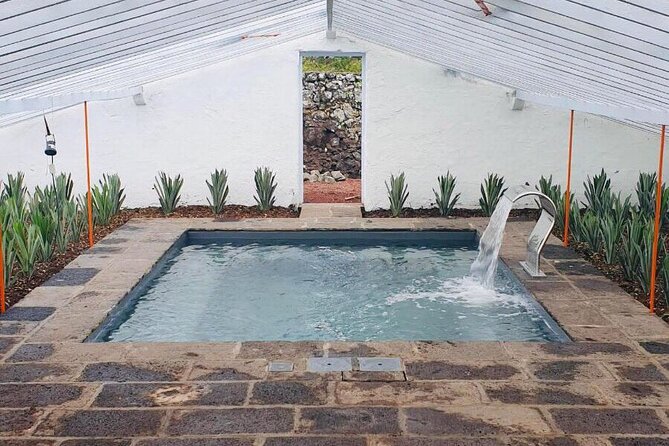 Hot Water Pool Bath Inside Pineapple Plantation & Dinner - Advantages of Hot Water Pool Bath