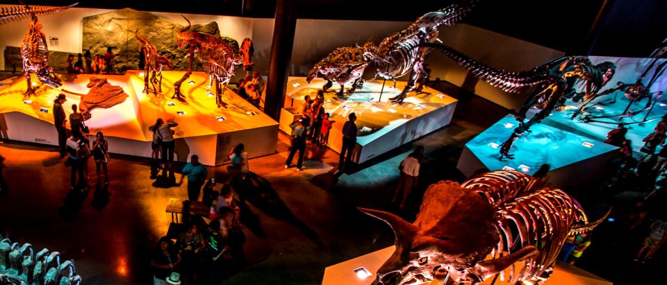 Houston: 1-Day or 3-Day Museum Pass - Key Points