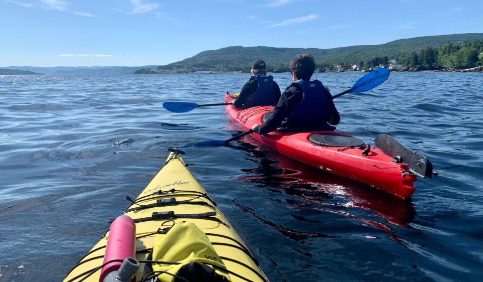 Humber Arm South: Bay of Islands Guided Kayaking Tour - Key Points