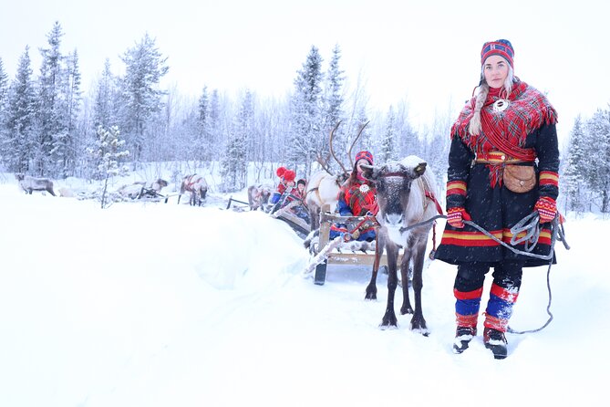 Hunt for Auroras by Reindeer Sled in Kiruna (Apr ) - Key Points