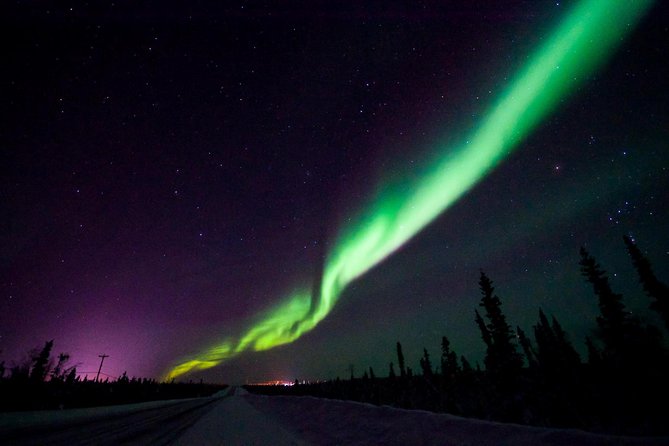 Hunt for the Northern Lights in Kiruna - Abisko - Tour Experience