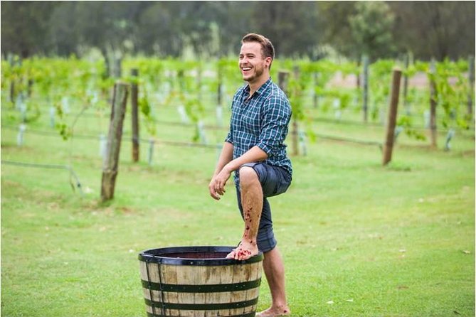 Hunter Valley Grape Stomping - Key Points