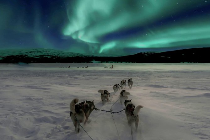 Hunting Northern Lights With Husky - Pickup and Logistics Information