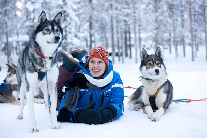 Husky Safari From Rovaniemi Including a Husky Sled Ride - Experience the Thrill of Husky Sledding