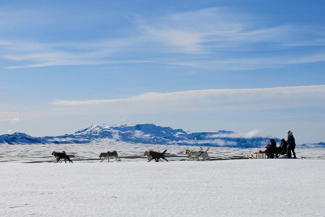 Husky Sledding Small-Group Tour From Capital Region - Key Points