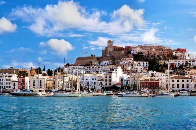Ibiza Island Tour: Punta Arabi Local Market - Key Points