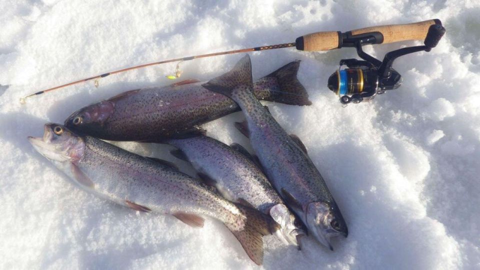 Ice Fishing Adventure in Levi With Salmon Soup - Key Points