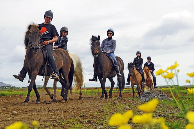 Iceland Tour With Horseback Riding - Key Points