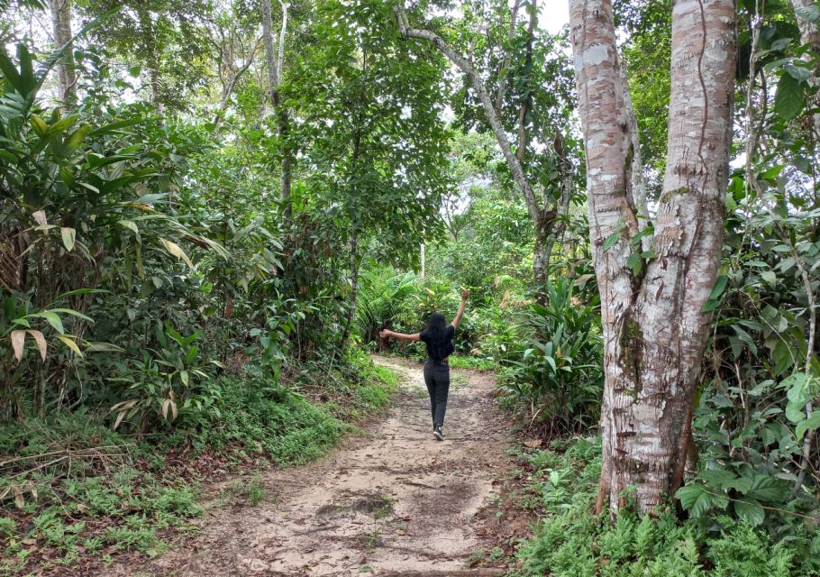 Iquitos: Healing Treatment With Medicinal Plants - Key Points