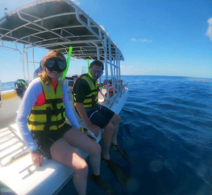 Isla Mujeres: Whale Shark Tour - Key Points