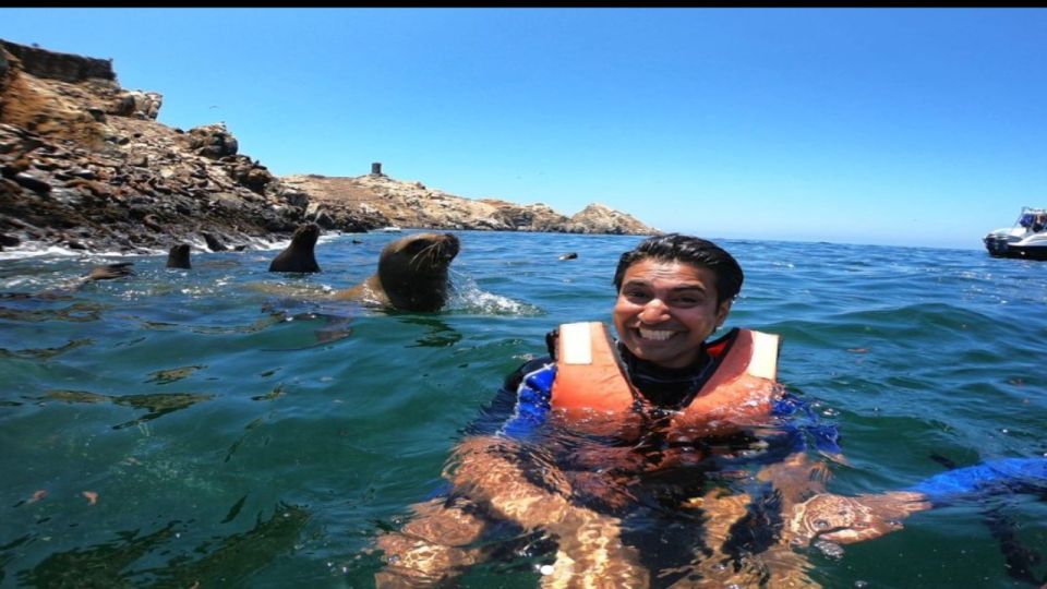 Islas Palomino - Swimming With Sea Lions - Key Points