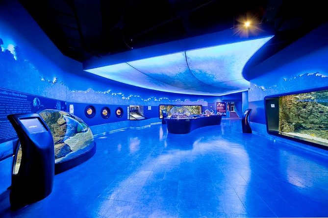 Istanbul Aquarium and Aqua Florya Independent Shopping Trip - Key Points