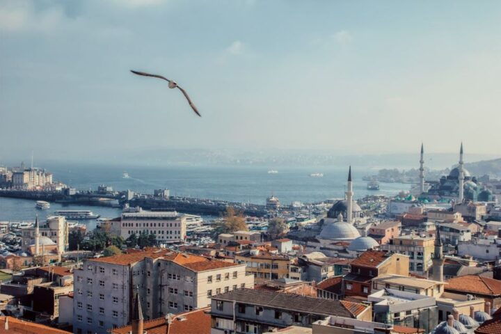 Istanbul: Full Day Private Tour ( Car&Guide ) - Key Points