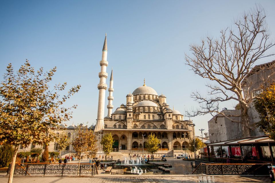 Istanbul: Morning Bosphorus Cruise - Key Points