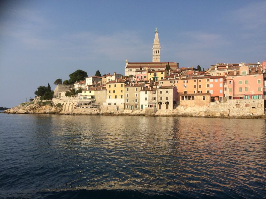 Istria: Guided Tour of Southern Istria and Olive Oil Tasting - Key Points