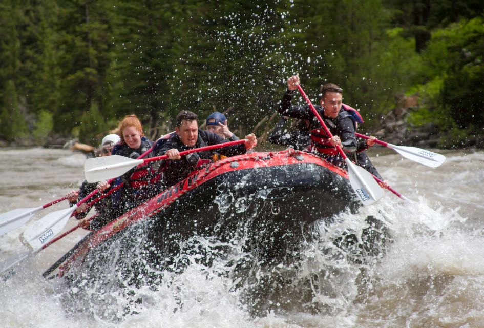 Jackson: Snake River Class 2-3 Whitewater Rafting Adventure - Key Points