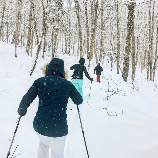 Jacques-Cartier National Park: Skiing Excursion - Key Points