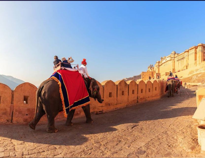 Jaipur: Full Day Sightseeing Tour With Car and Tour Guide - Key Points