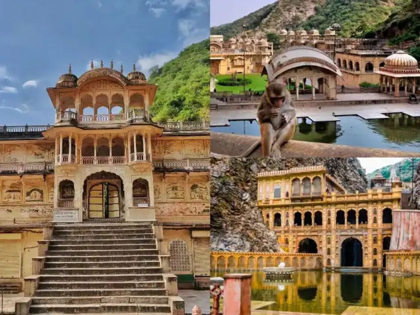 Jaipur Private Temple Tour and Enjoy Monkey Temple - Key Points