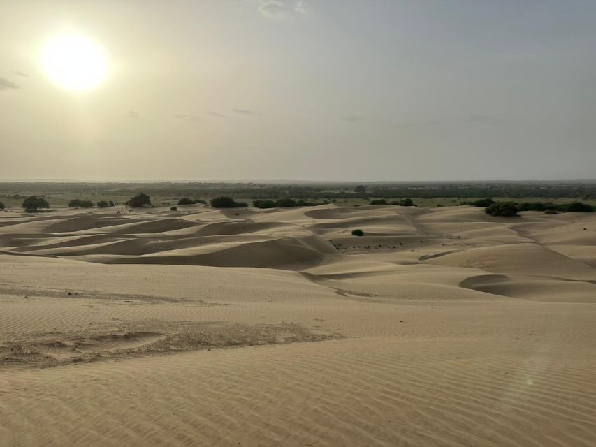 JAISALMER DESERT EXPERIENCE : SLEEPING UNDER THE STAR - Key Points