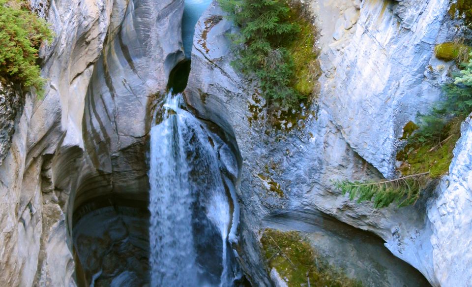 Jasper: Wildlife and Waterfalls Tour With Lakeshore Hike - Key Points