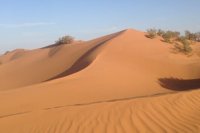 Jeep Tour to Mini Sahara With Lunch Small Group - Key Points