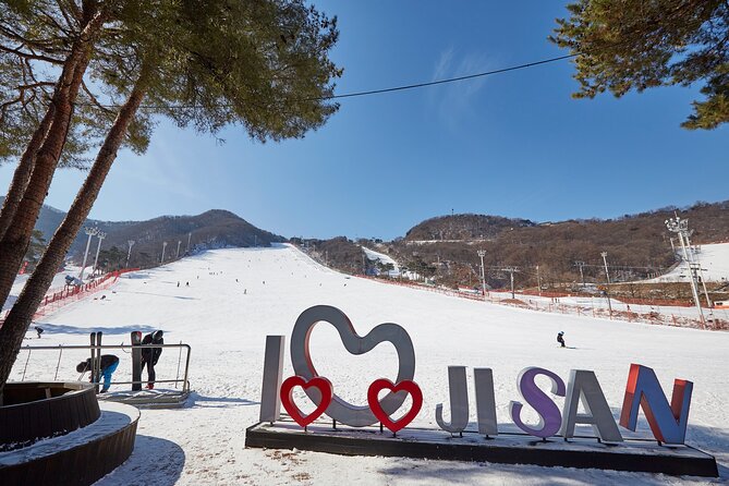 Jisan Ski Resort Serving Breakfast From Seoul (No Shopping) - Key Points