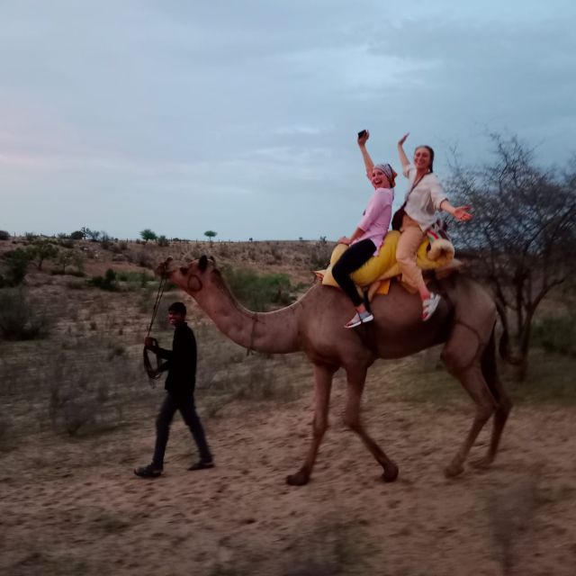 Jodhpur Camel Ride With Rajasthani Folk Dancing With Sumer - Key Points