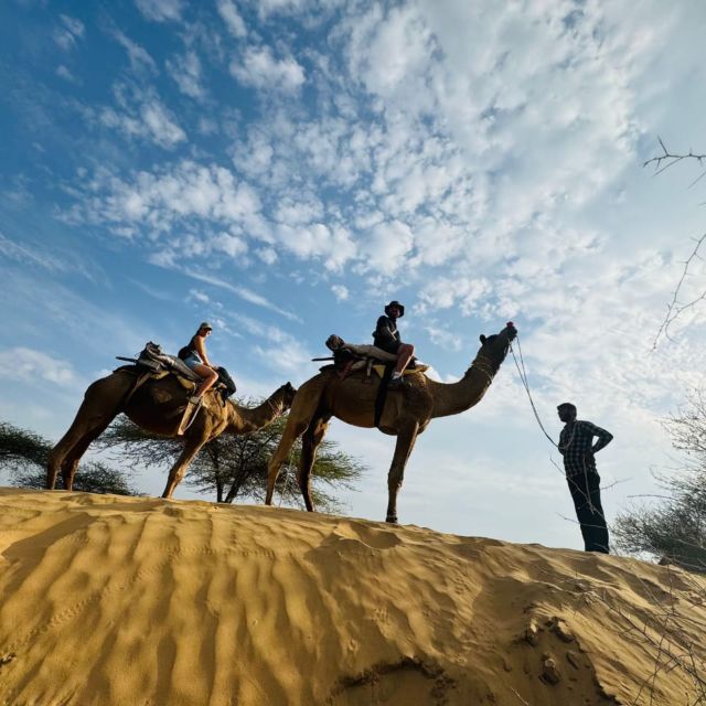 Jodhpur Camel Safari With Traditional Food With Sumer - Key Points