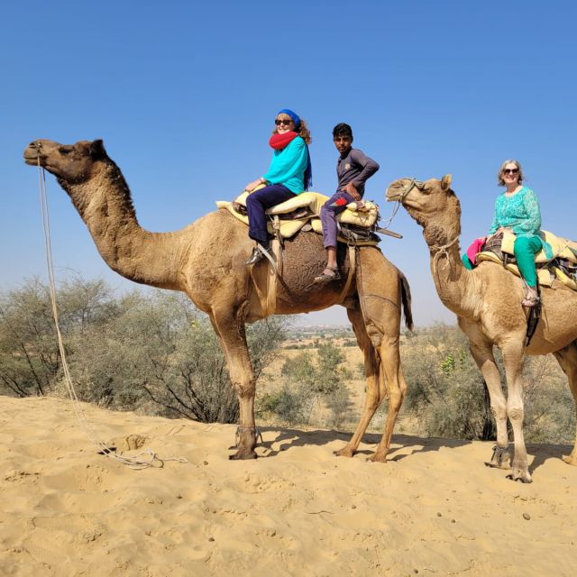 Jodhpur Desert Camel Safari& JeepSafari With Food With Sumer - Key Points