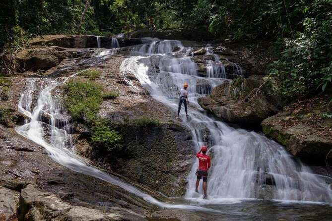 Jungle Canopy Zipline & Waterfall Rappelling - Bocawina Falls - Key Points